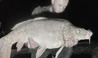 Fish photos photo 2 Ilot