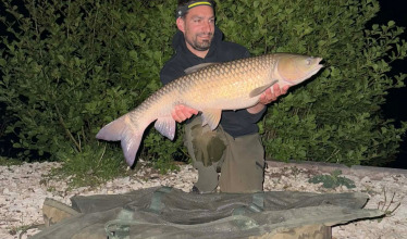 Fish photos photo 2 Le Repaire