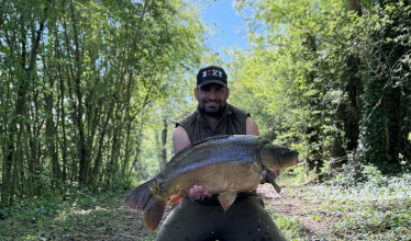 Fish photos photo 3 Le Repaire
