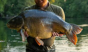 Fish photos photo 3 Laroussi