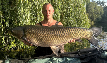 Fish photos photo 2 Laroussi