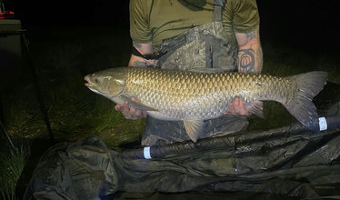 Fish photos photo 2 Beaurepaire