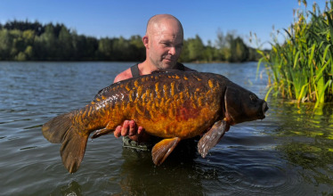 Fish photos photo 2 Deux Iles