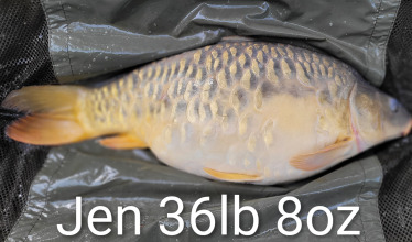 Fish photos photo 3 Eau De Vie South
