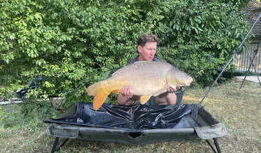 Fish photos photo 2 Mas Bas Lotus Lake
