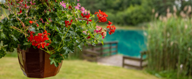 Accommodation photos photo 3