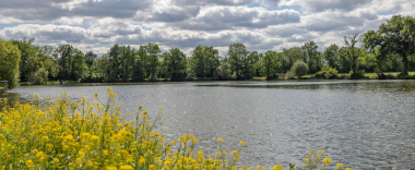 Lake photos photo 3
