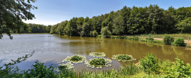 Lake photos photo 2