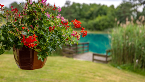 Golden Carp Lake, Big Carp Fishing France with a Social Lodge, accommodation photo 3