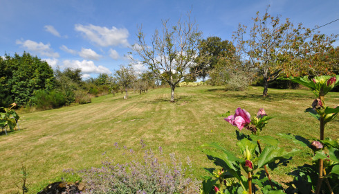 Lakeview, Carp Fishing France with Accommodation, accommodation photo 18