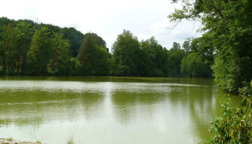 La Fonte, French Carp Lake, The Lake