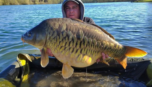 A carp from Fullys Lake, Mar 2026