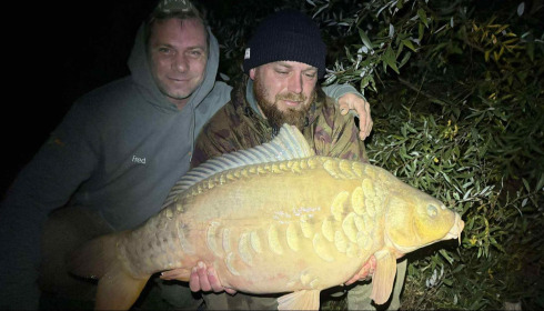A carp from Fullys Lake, Nov 2025