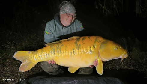 A carp from Fullys Lake, Nov 2025