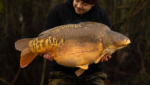 A carp from Fullys Lake, Mar 2026
