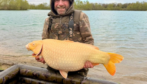 A carp from Fullys Lake, Apr 2026