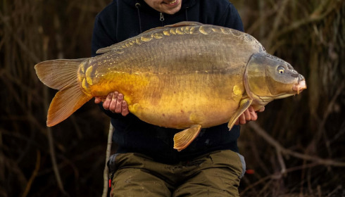 A carp from Fullys Lake, Mar 2026