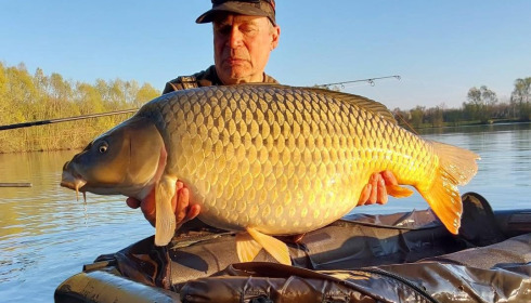 A carp from Fullys Lake, Mar 2026