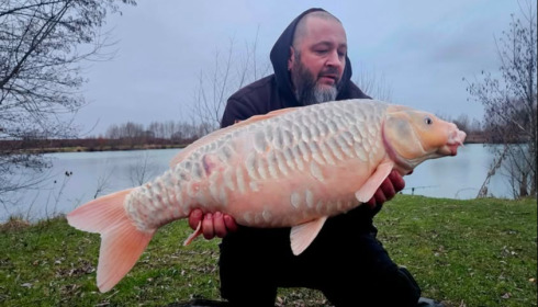 A carp from Fullys Lake, Didier, Jan 2026