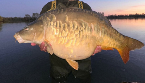 A carp from Fullys Lake, Apr 2026