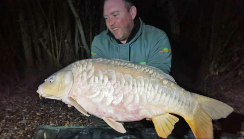 A carp from Fullys Lake, Nov 2025