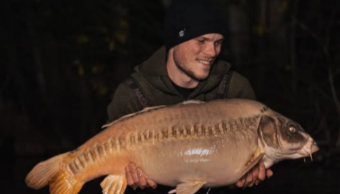 A carp from Fullys Lake, Dec 2025