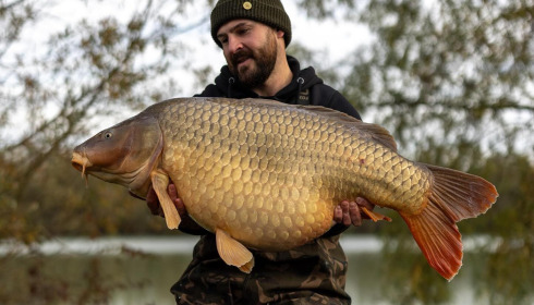 A 61 lb carp from Fullys Lake, Nov 2025