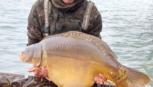 A carp from Fullys Lake, Mar 2026
