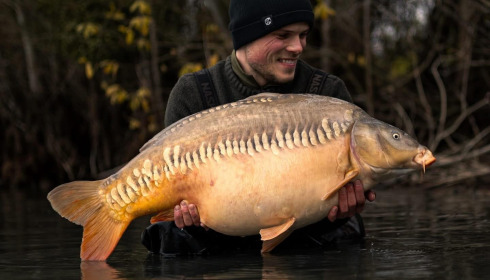 A carp from Fullys Lake, Dec 2025
