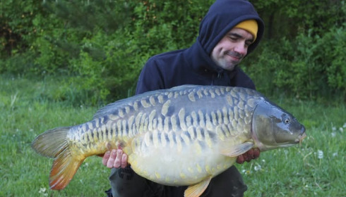 A carp from Fullys Lake, May 2026