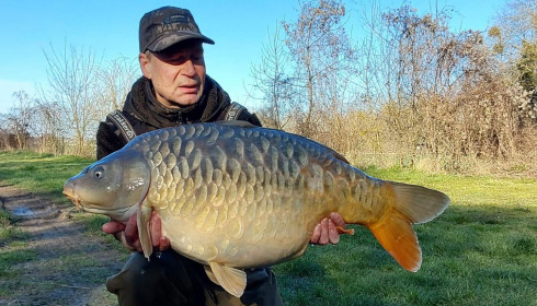 A carp from Fullys Lake, Mar 2026