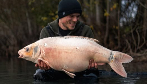 A carp from Fullys Lake, Dec 2025