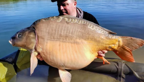 A carp from Fullys Lake, Mar 2026
