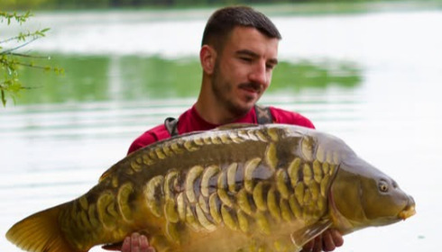 A carp from Fullys Lake, May 2026