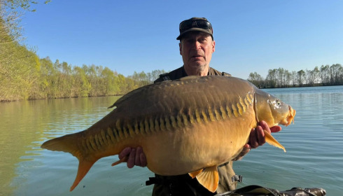 A carp from Fullys Lake, Mar 2026