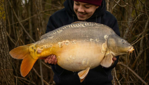 A carp from Fullys Lake, Mar 2026