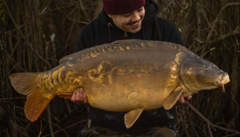 A carp from Fullys Lake, Mar 2026