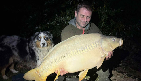 A carp from Fullys Lake, Nov 2025