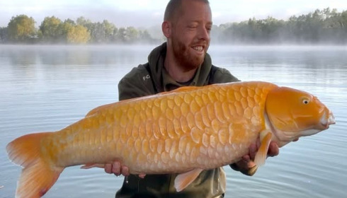 A carp from Fullys Lake, May 2026