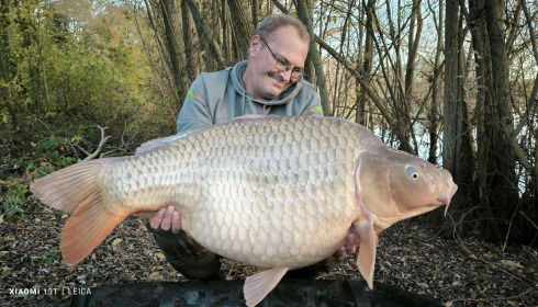 A carp from Fullys Lake, Dec 2025