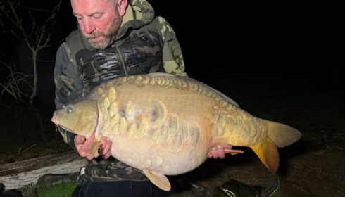 A carp from Fullys Lake, Apr 2026