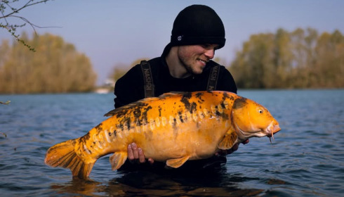 A carp from Fullys Lake, Vince, Mar 2026