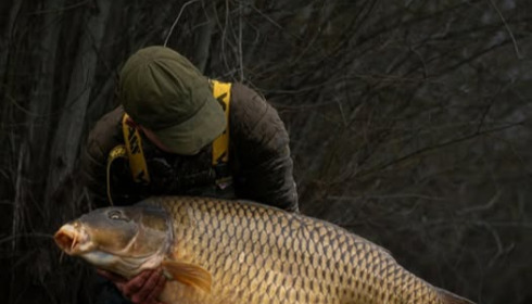 A 61 lb carp from Fullys Lake, Feb 2026