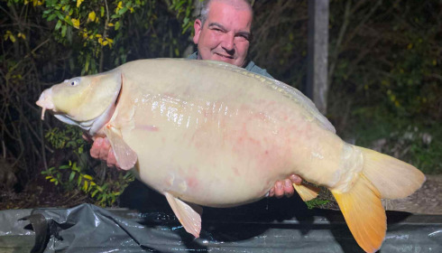 A carp from Fullys Lake, Dec 2025