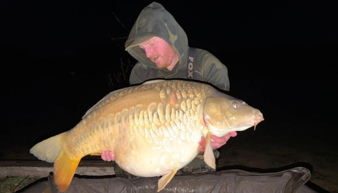A carp from Fullys Lake, Apr 2026
