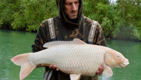 A carp from Fullys Lake, May 2026