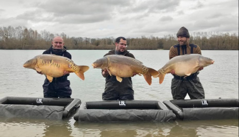 A carp from Fullys Lake, Feb 2026