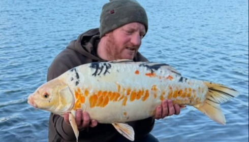 A carp from Fullys Lake, Apr 2026