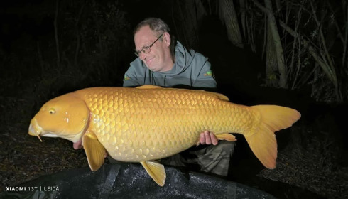 A 33 lb carp from Fullys Lake, Nov 2025