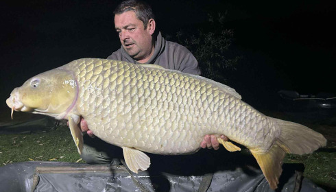 A carp from Fullys Lake, Dec 2025